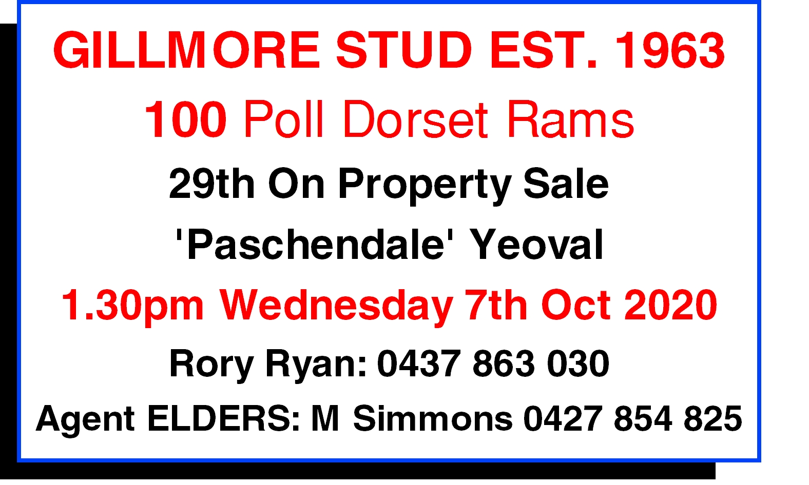 Gillmore Poll Dorset Ram Sale