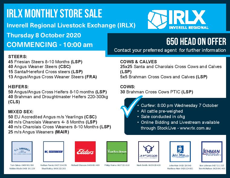 Inverell Monthly Store Cattle Sale