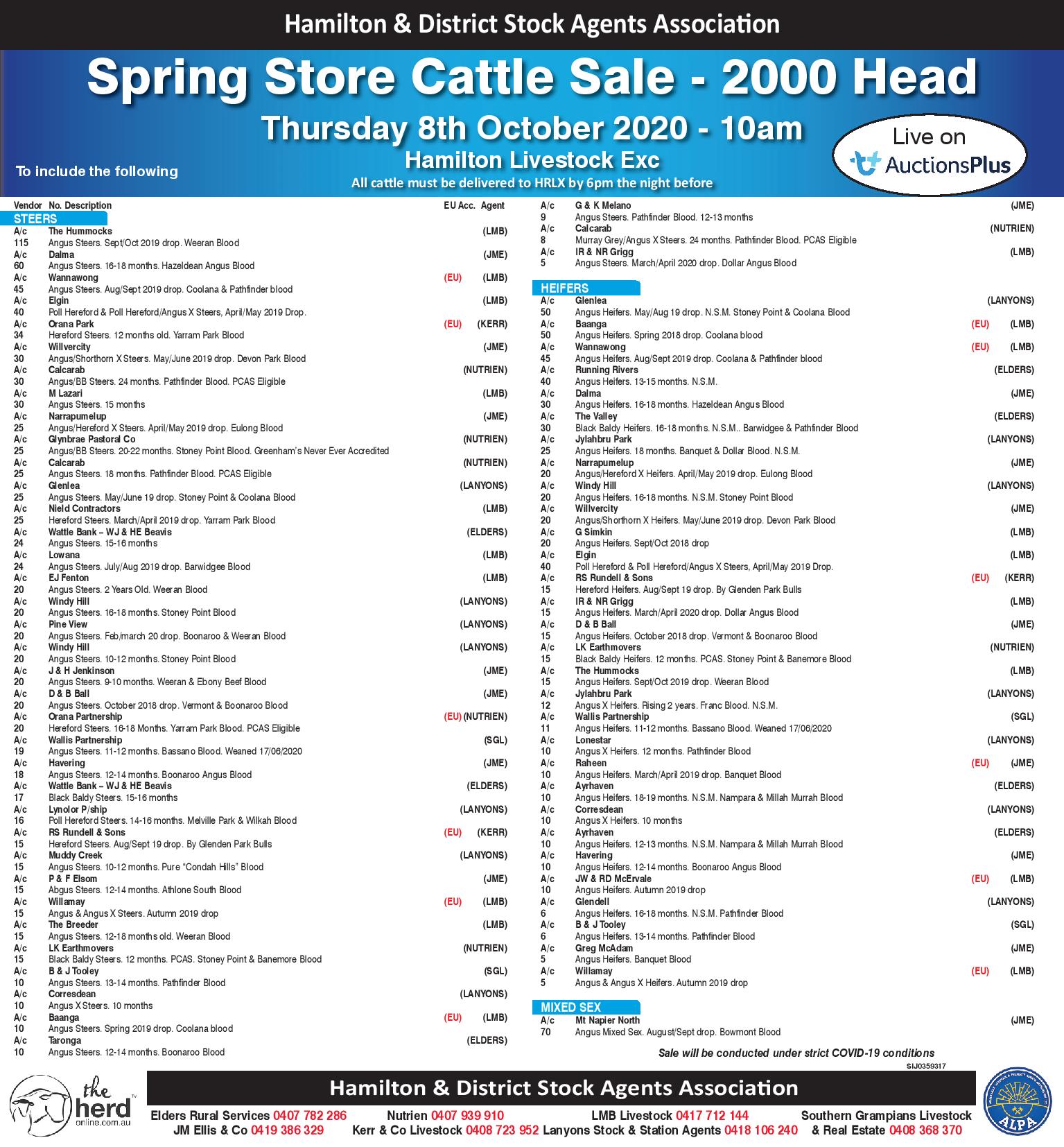 Hamilton Spring Store Cattle Sale