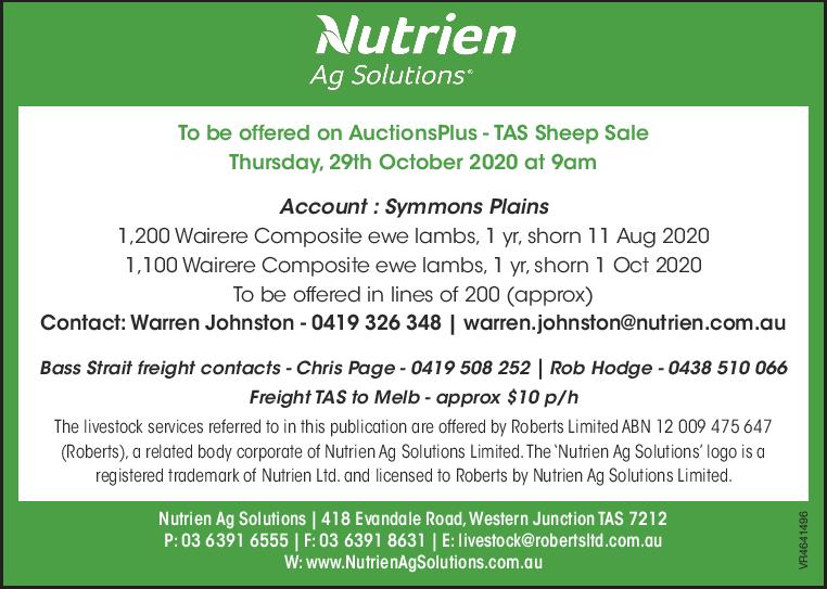 TAS Sheep Sale - AuctionsPlus