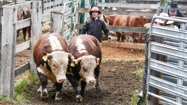 Thornleigh farewell 88 years of breeding