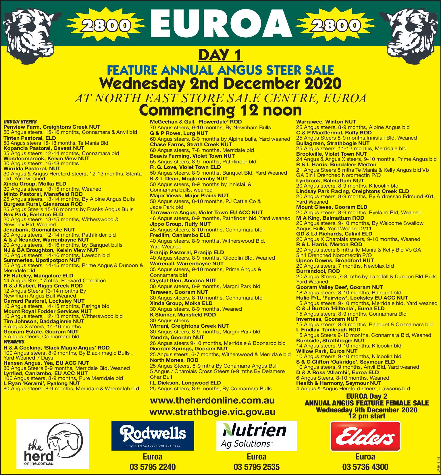 EUROA DAY 1 FEATURE ANNUAL ANGUS STEER SALE