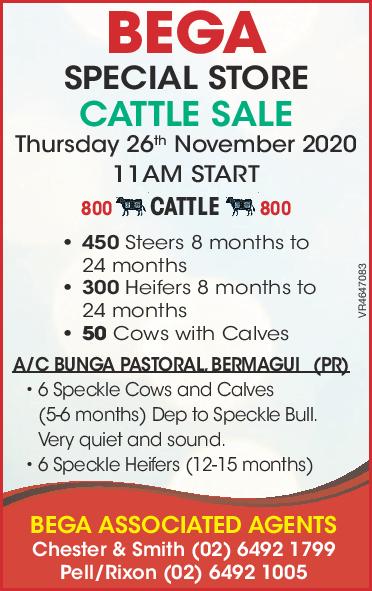 BEGA SPECIAL STORE CATTLE SALE