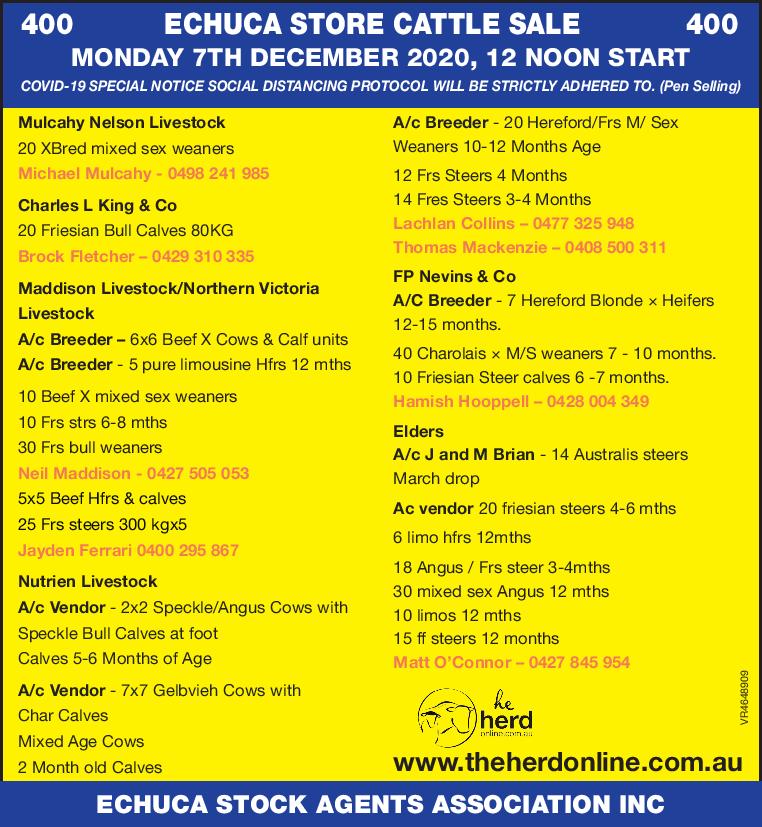 400 ECHUCA STORE CATTLE SALE 400