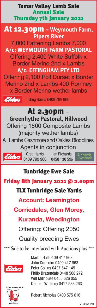 Tamar Valley Lamb Sale Annual Sale, Greenhythe Pastoral, Hillwood Tasmania
