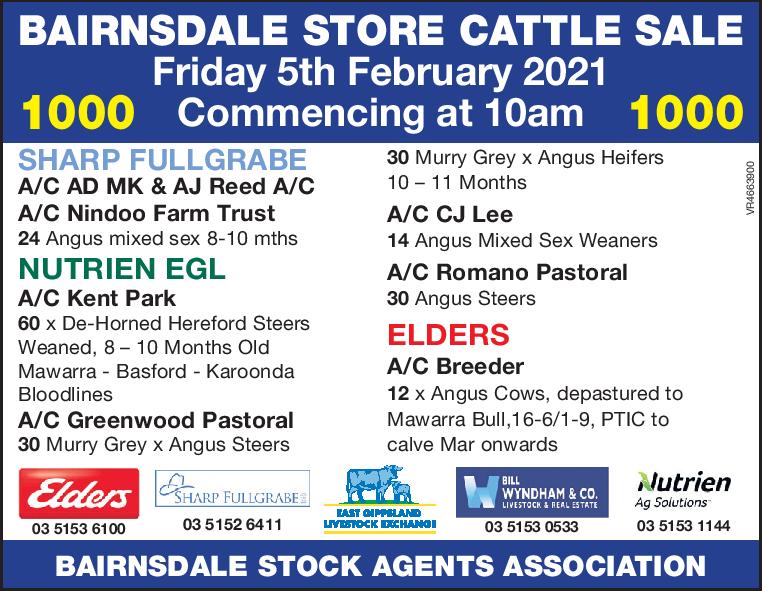 BAIRNSDALE STORE CATTLE SALE