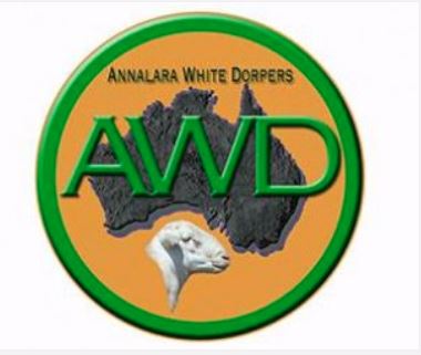 2021 ANNALARA WHITE DORPER STUD & FLOCK SALE