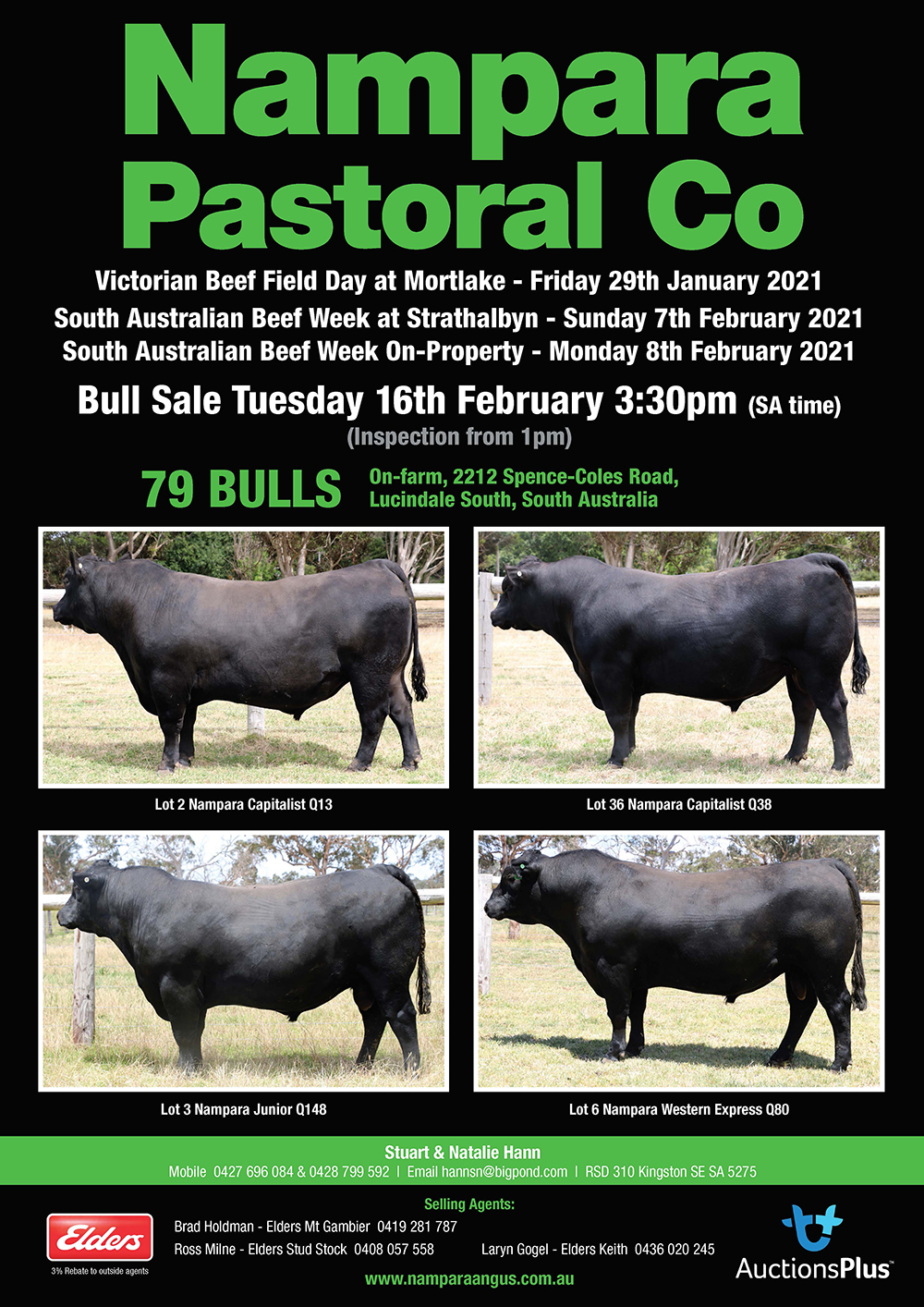 Nampara Pastoral Co Bull Sale