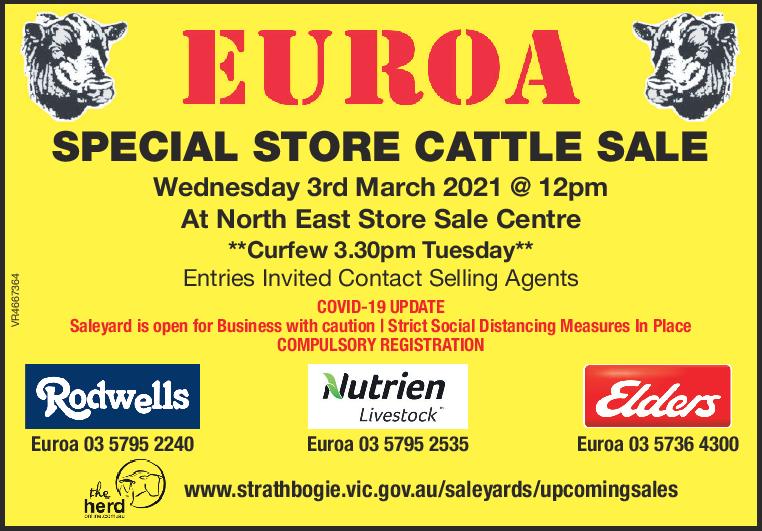 EUROA SPECIAL STORE CATTLE SALE