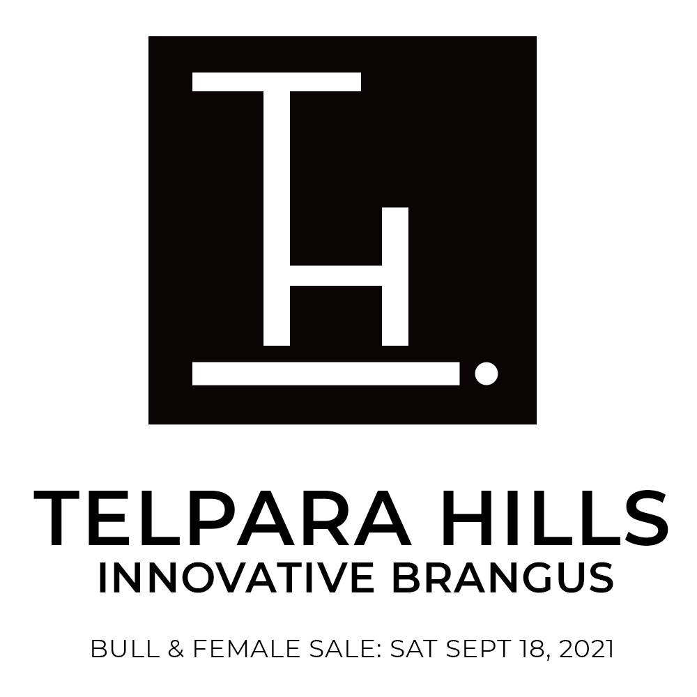 Telpara Hills Bull and Female Sale