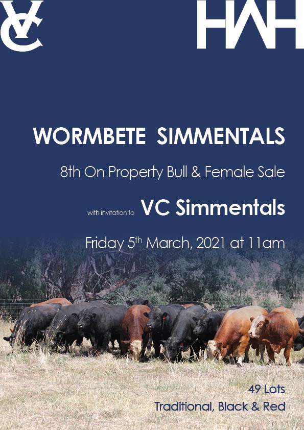 Wormbete Simmentals Bull & Female Sale with invitation to VC Simmentals