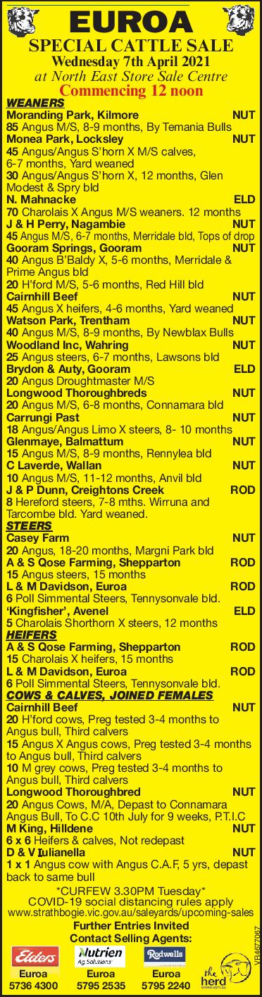 EUROA SPECIAL STORE CATTLE SALE