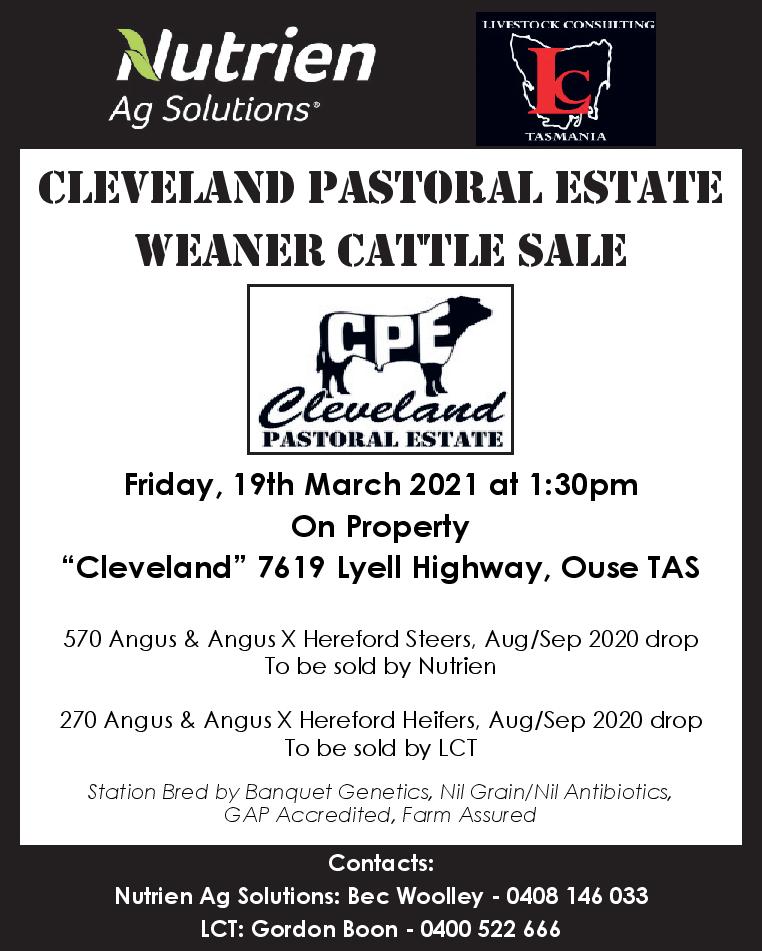 Cleveland Pastoral Estate Weaner Cattle Sale