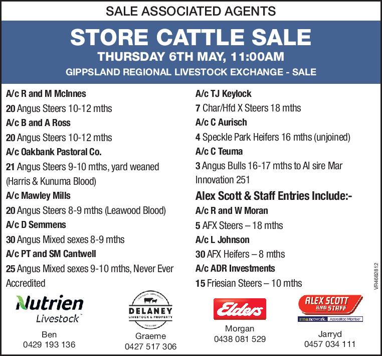 SALE ASSOCIATED AGENTS  STORE CATTLE SALE