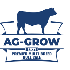 AG-GROW PREMIER MULTI-BREED BEEF BULL SALE