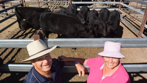 Tenterfield heifers to $1915