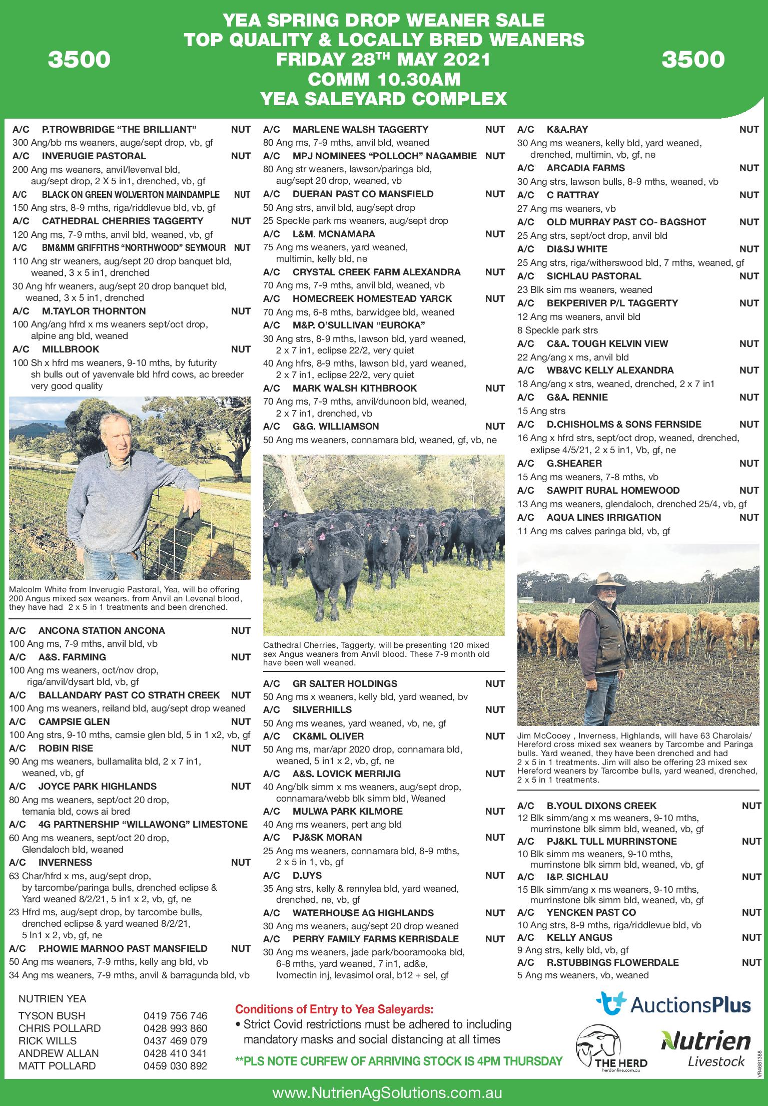 YEA SPRING DROP WEANER SALE TOP QUALITY & LOCALLY BRED WEANERS