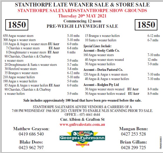 STANTHORPE LATE WEANER SALE & STORE SALE