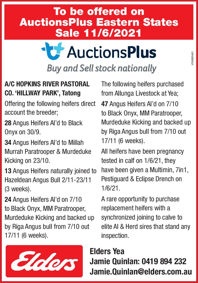 To be offered on AuctionsPlus Eastern States Sale 11/6/2021