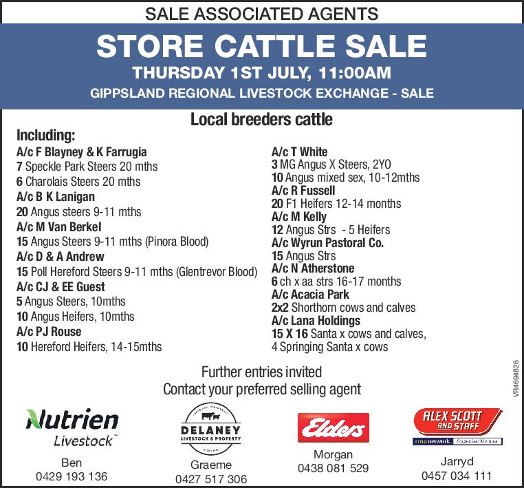 STORE CATTLE SALE GIPPSLAND REGIONAL LIVESTOCK EXCHANGE - SALE