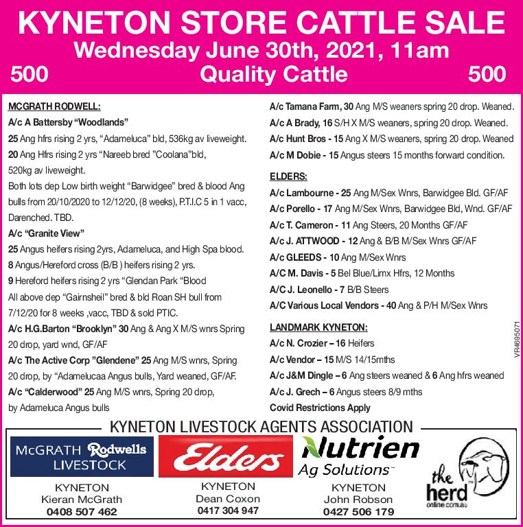 KYNETON STORE CATTLE SALE