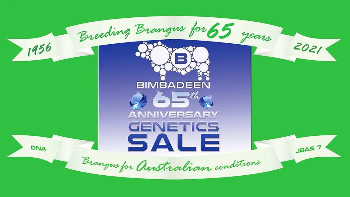 Bimbadeen 65th Anniversary Genetics Sale