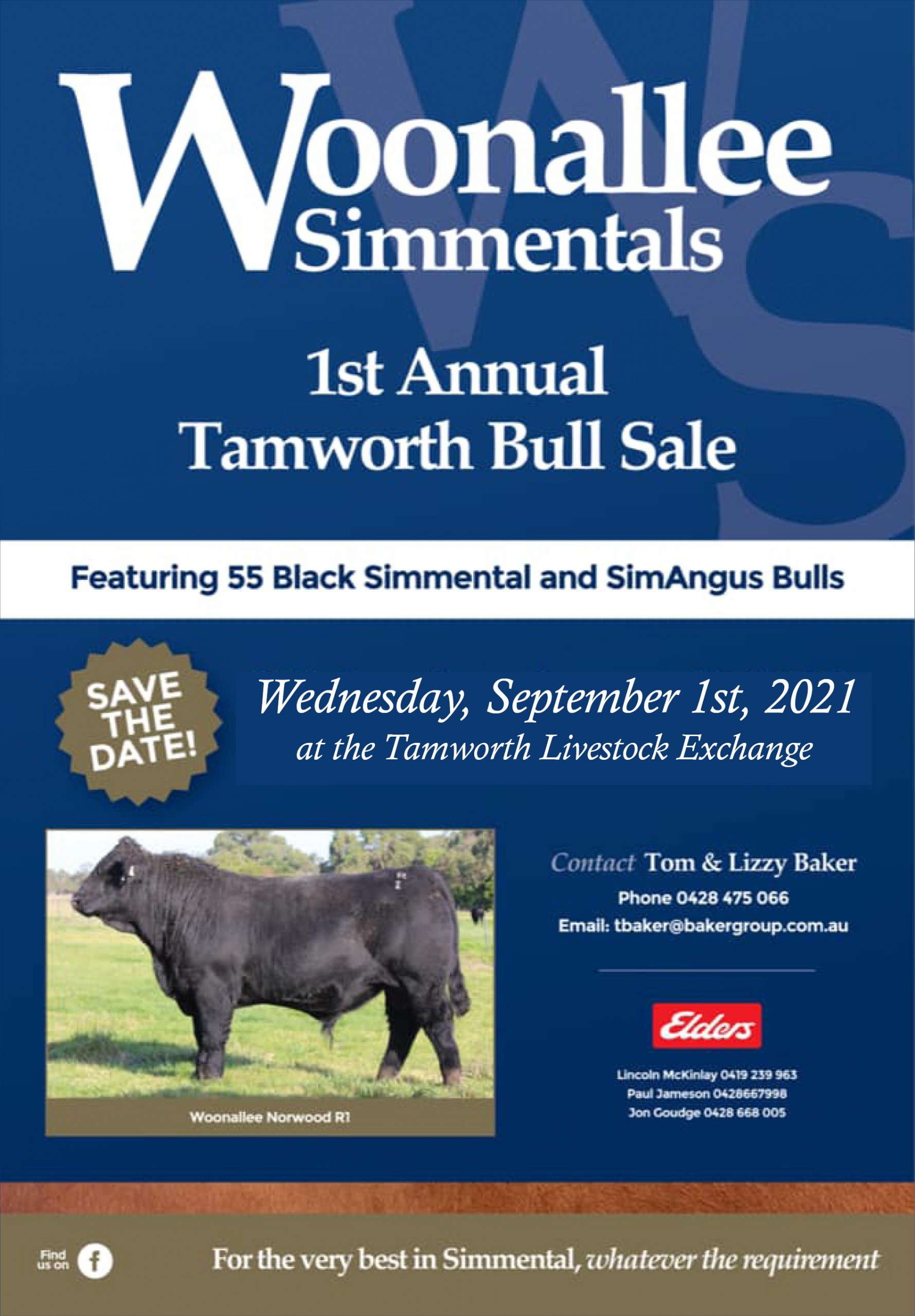 Woonallee Simmentals 1st Annual Tamworth Bull Sale
