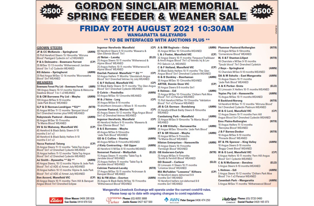 GORDON SINCLAIR MEMORIAL SPRING FEEDER & WEANER SALE WANGARATTA SALEYARDS