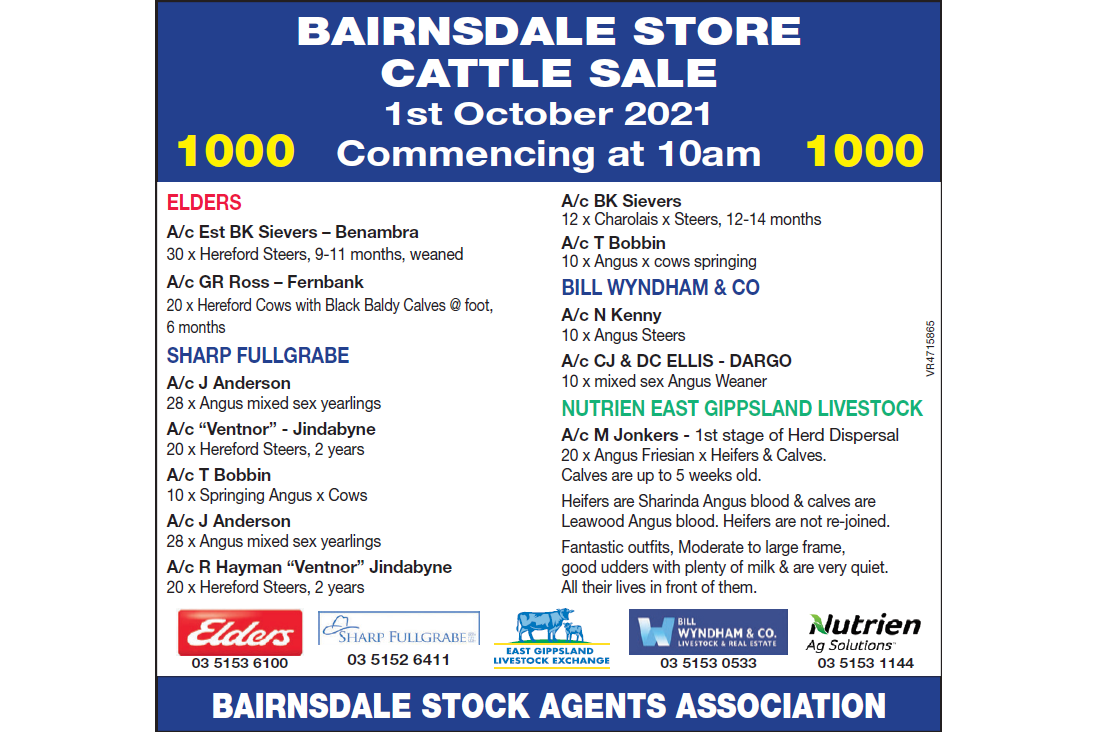 BAIRNSDALE STORE CATTLE SALE