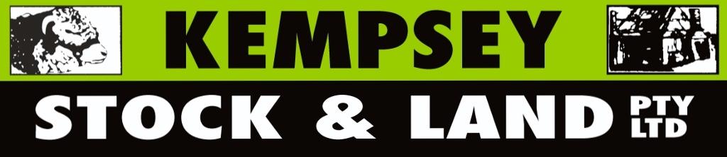 Kempsey Steer & Bullock Sale