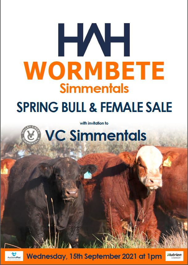 Wormbete Simmentals Spring Bull and Female Sale with Invitation to VC Simmentals
