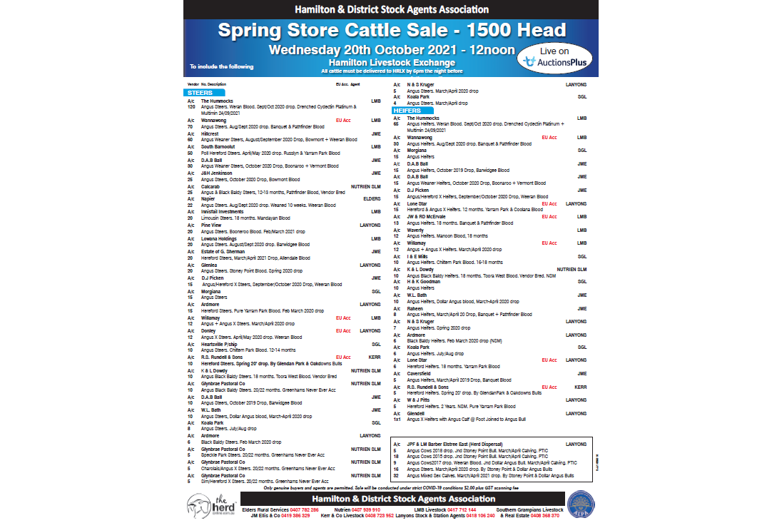 Hamilton & District Stock Agents Association Spring Store Cattle Sale - 1500 Head
