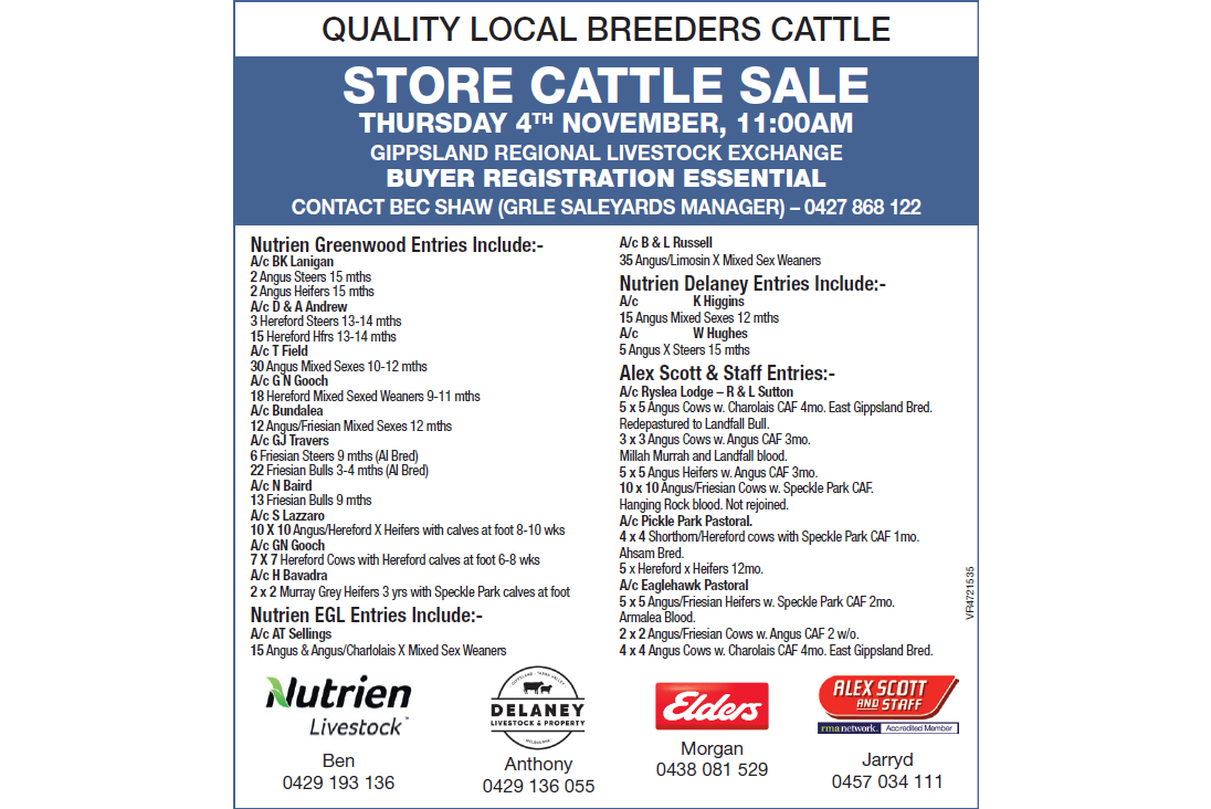 QUALITY LOCAL BREEDERS CATTLE STORE CATTLE SALE GIPPSLAND REGIONAL LIVESTOCK EXCHANGE