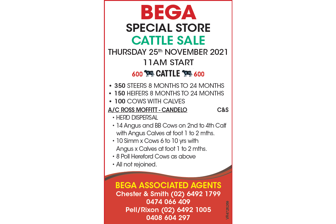 BEGA SPECIAL STORE CATTLE SALE