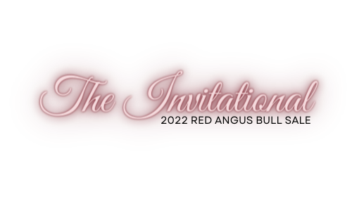 The Invitational Red Angus Bull Sale