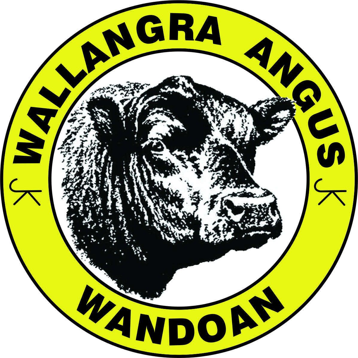 Wallangra Angus inaugural on-property bull sale