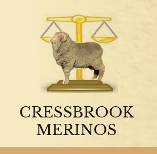Cressbrook Merinos Ram and Ewe sale