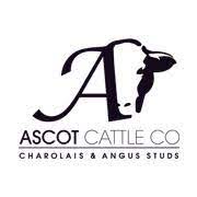 Ascot Annual Spring Angus & Charolais sale