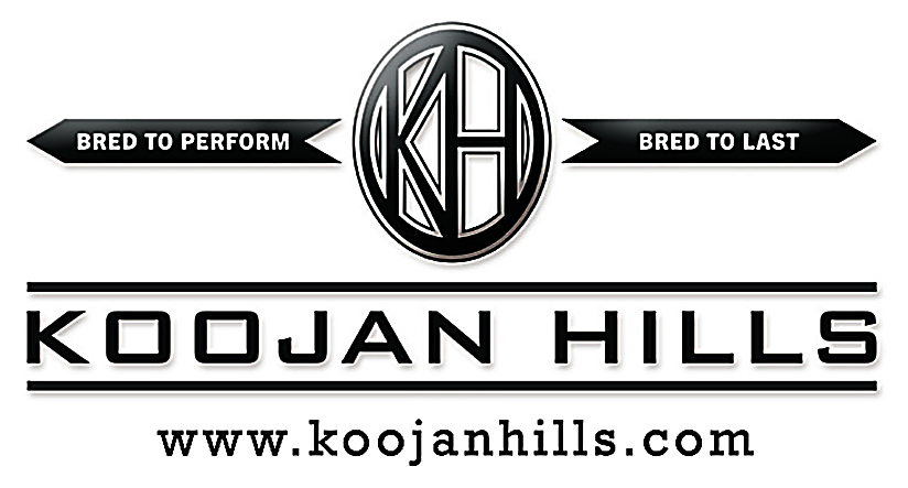 Koojan Hills Angus On-property Bull Sale