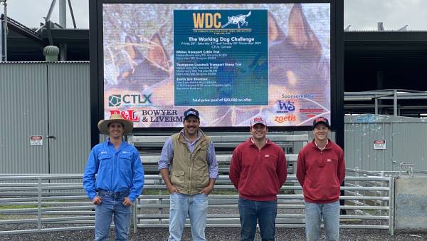 Around 400 dogs expected at inaugural Central West working dog challenge