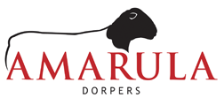 Amarula Dorpers & White Dorpers 19th Annual On Property Sale