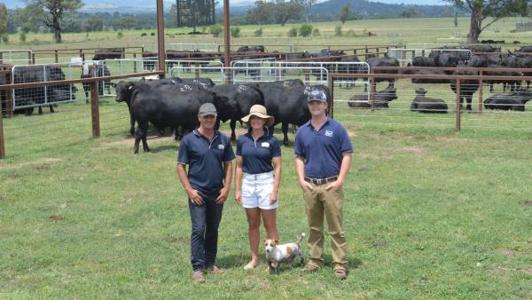 NSW cattle studs open gate for day one of Stock & Land Beef Week | Photos