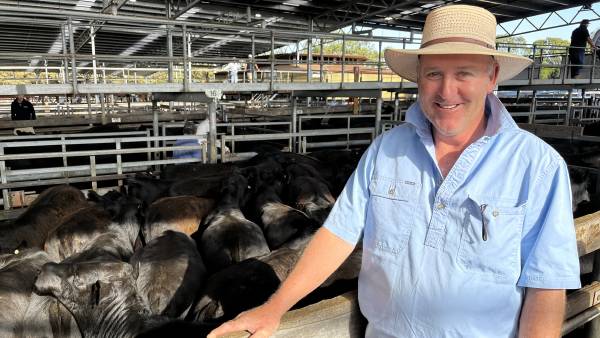 Hamilton heifers hit 784/kg as NSW graziers target future breeders