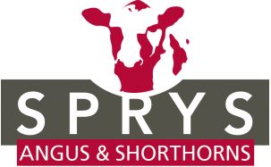 Sprys Shorthorns and Angus Sale
