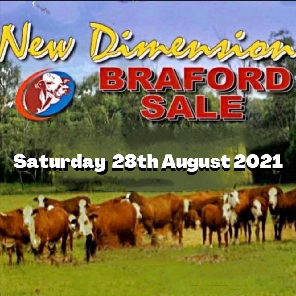 New Dimension Braford Sale