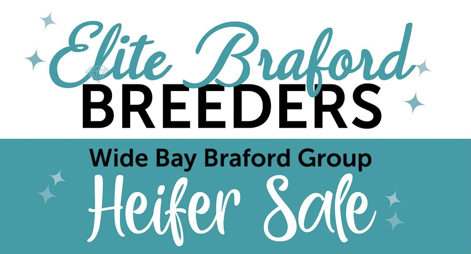 Elite Braford Breeders Heifer Sale