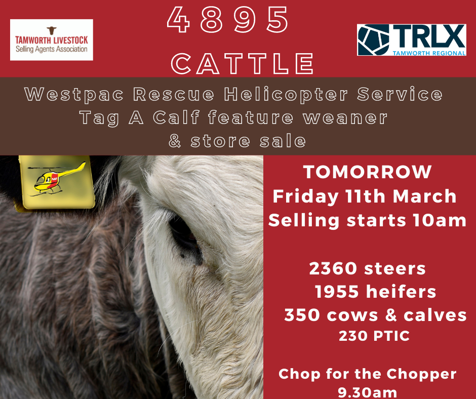 Westpac Rescue Helicopter Service Tag A Calf and Feature Weaner Sale