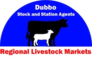 Dubbo Store Cattle Sale