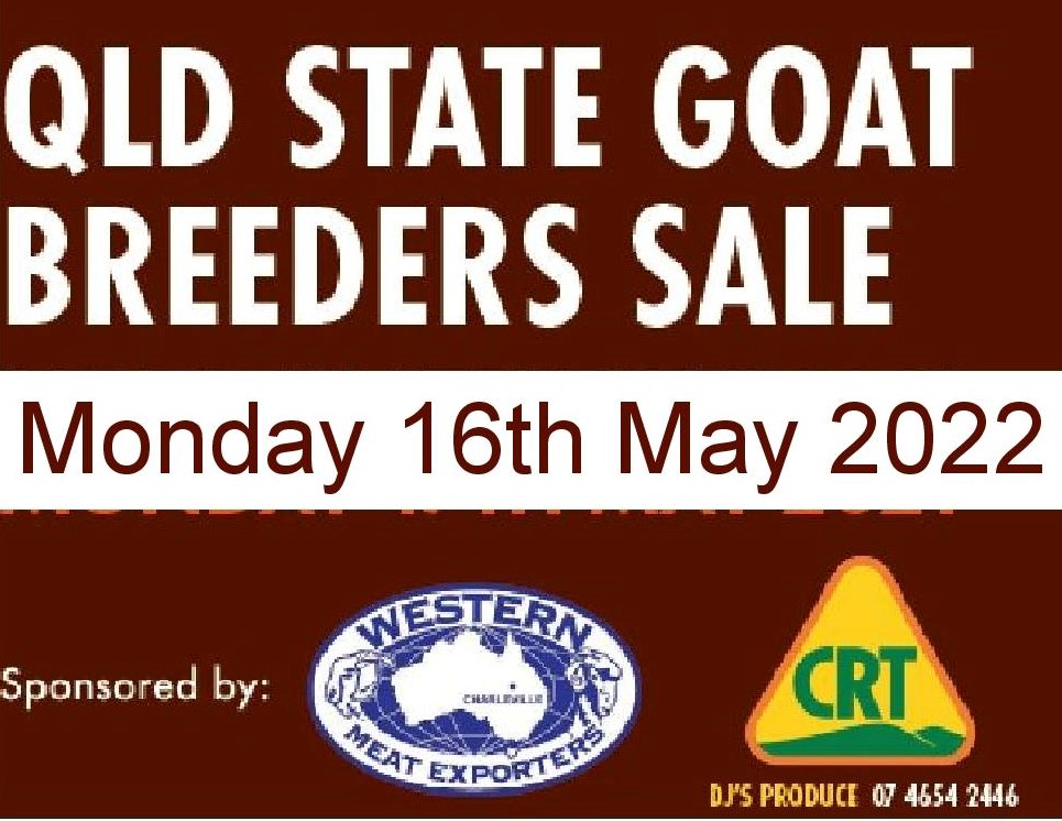 QLD State Goat Breeders Sale 2022
