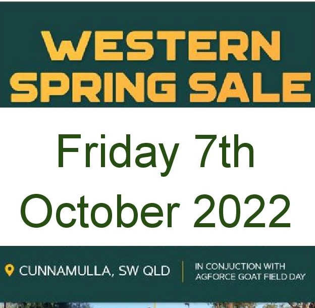 Western Spring Goat Sale